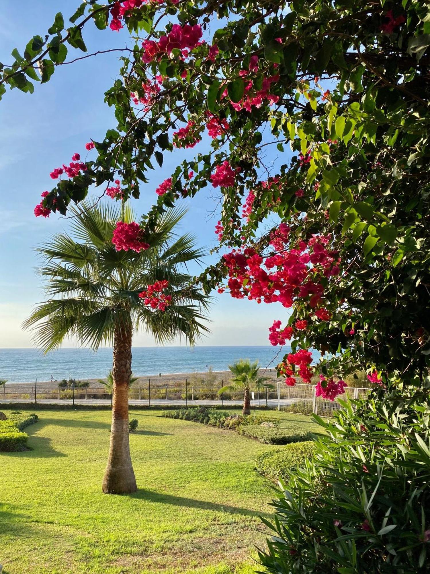 Sunshine Beach Front Complex, Wifi, Modern Casares Zewnętrze zdjęcie
